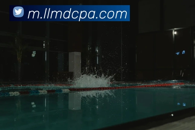 pa视讯平台生态图