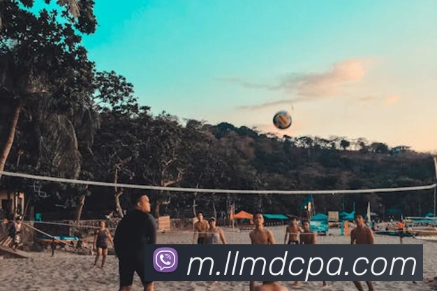 pa视讯全站App pa视讯全站App